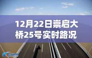 崇启大桥实时路况直播,掌握最新路况信息