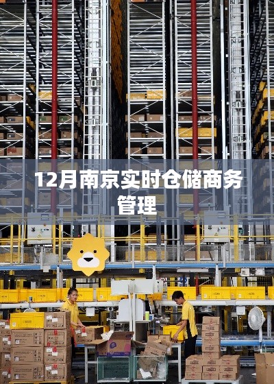 南京实时仓储商务管理,高效运作与智能决策之选