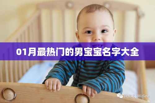 男宝宝热门名字大全,精选一月热门好名