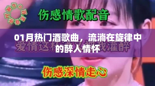 热门酒歌曲,旋律中的醉人情怀
