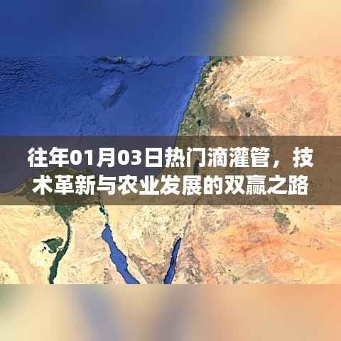 技术革新引领滴灌管发展,助力农业双赢之路