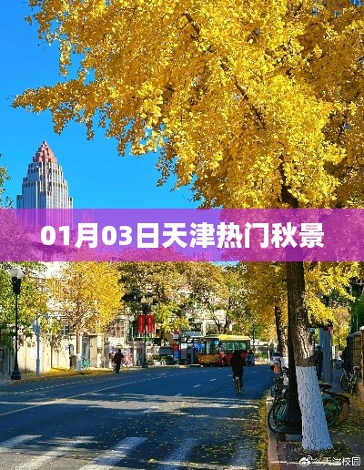 天津热门秋景盘点(日期更新)