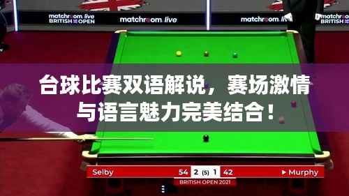 台球比赛双语解说,赛场激情与语言魅力完美结合!