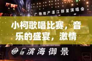 小柯歌唱比赛，音乐的盛宴，激情的碰撞
