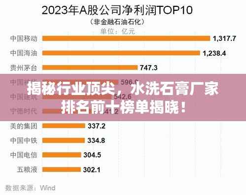 揭秘行业顶尖,水洗石膏厂家排名前十榜单揭晓!