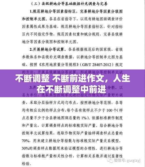 不断调整 不断前进作文,人生在不断调整中前进