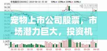 宠物上市公司股票,市场潜力巨大,投资机会不容错过!