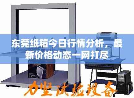 东莞纸箱今日行情分析,最新价格动态一网打尽