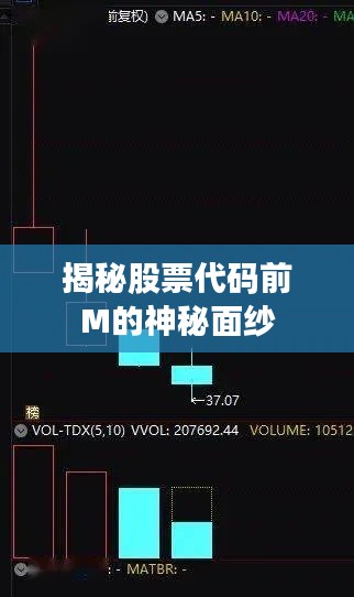 揭秘股票代码前M的神秘面纱