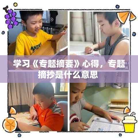 学习《专题摘要》心得,专题摘抄是什么意思