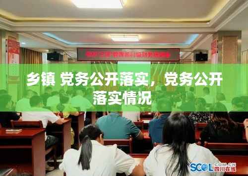 乡镇 党务公开落实,党务公开落实情况