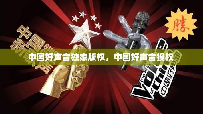 中国好声音独家版权,中国好声音授权