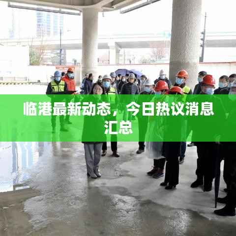 临港最新动态,今日热议消息汇总