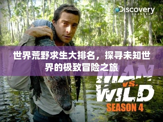 世界荒野求生大排名,探寻未知世界的极致冒险之旅