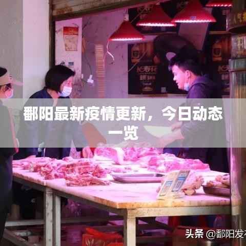 鄱阳最新疫情更新,今日动态一览