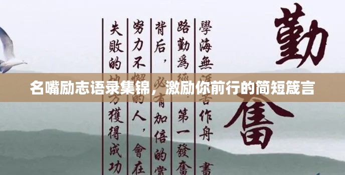名嘴励志语录集锦,激励你前行的简短箴言