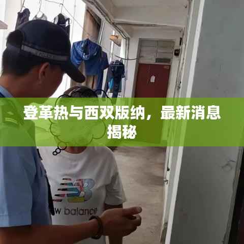 登革热与西双版纳,最新消息揭秘