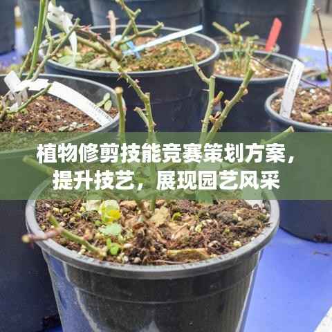 植物修剪技能竞赛策划方案,提升技艺,展现园艺风采