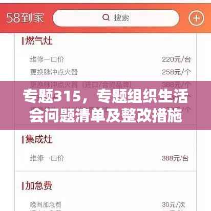 专题315,专题组织生活会问题清单及整改措施