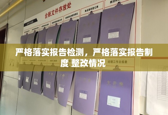 严格落实报告检测,严格落实报告制度 整改情况