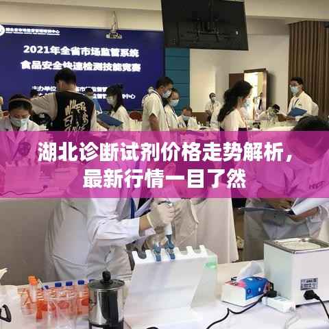 湖北诊断试剂价格走势解析,最新行情一目了然