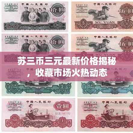 苏三币三元最新价格揭秘,收藏市场火热动态