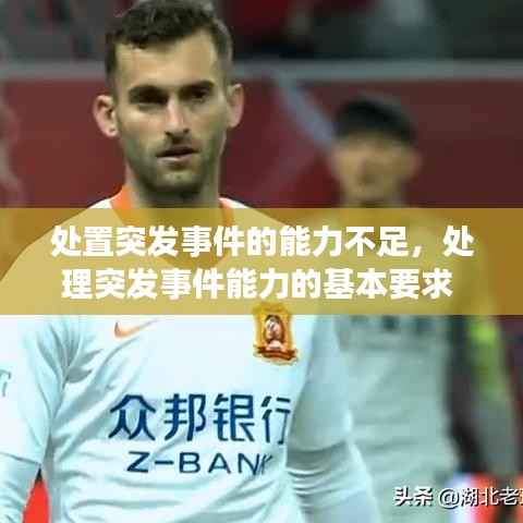 处置突发事件的能力不足,处理突发事件能力的基本要求