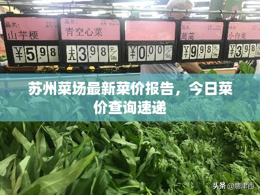 苏州菜场最新菜价报告,今日菜价查询速递