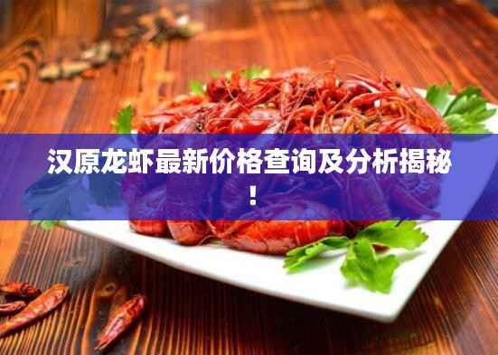 汉原龙虾最新价格查询及分析揭秘!
