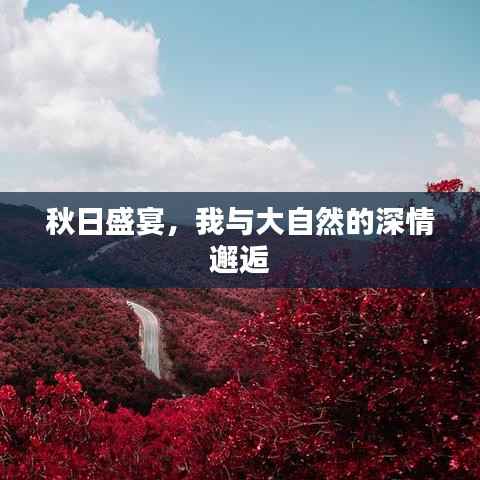 秋日盛宴,我与大自然的深情邂逅