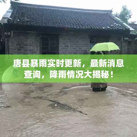 唐县暴雨实时更新，最新消息查询，降雨情况大揭秘！