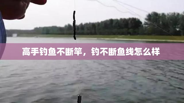 高手钓鱼不断竿,钓不断鱼线怎么样