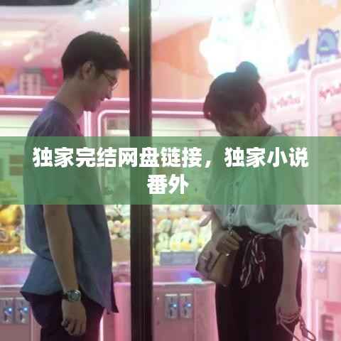 独家完结网盘链接,独家小说番外