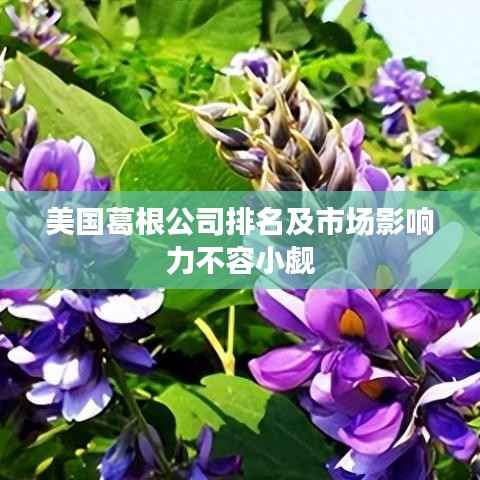 美国葛根公司排名及市场影响力不容小觑