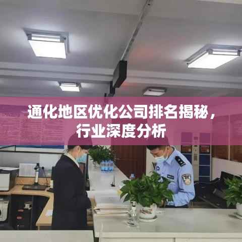 通化地区优化公司排名揭秘,行业深度分析