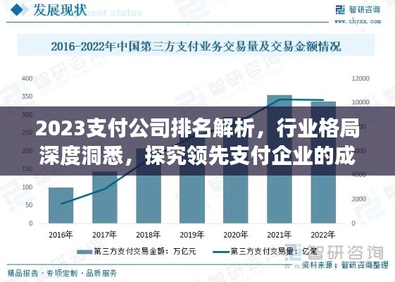 2023支付公司排名解析,行业格局深度洞悉,探究领先支付企业的成功秘诀