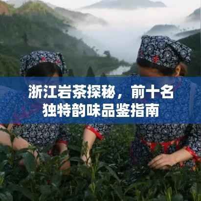 浙江岩茶探秘,前十名独特韵味品鉴指南