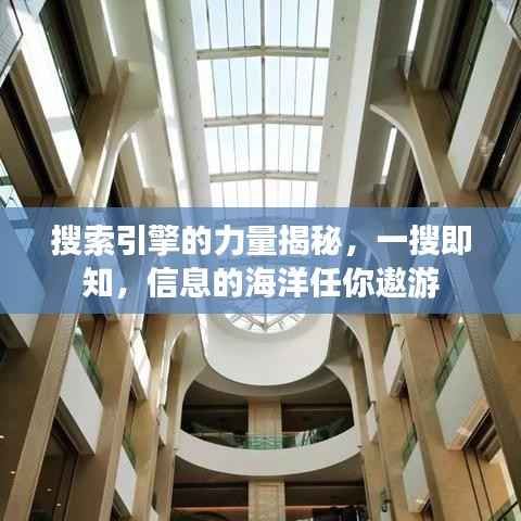 搜索引擎的力量揭秘,一搜即知,信息的海洋任你遨游