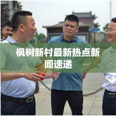 枫树新村最新热点新闻速递