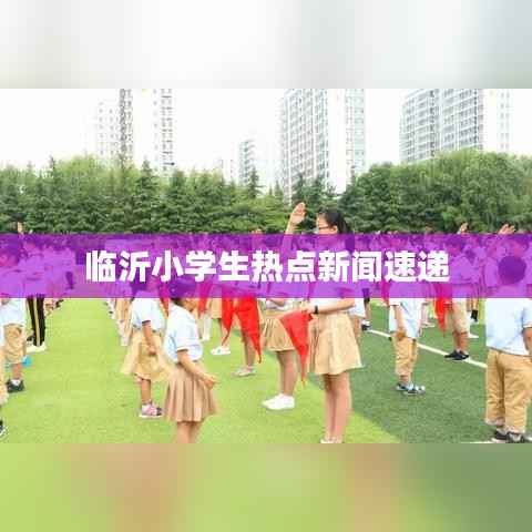 临沂小学生热点新闻速递